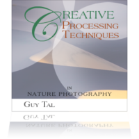 guy-tal-creative-processing-techniques-cover